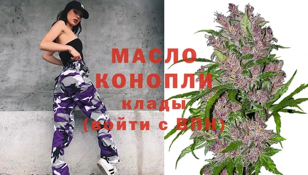 дмт Абаза