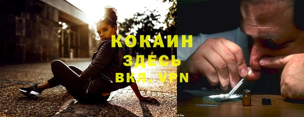 крисы Абдулино